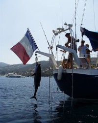 Chantier Naval Biot Goelette Alu  vendre - Photo 19