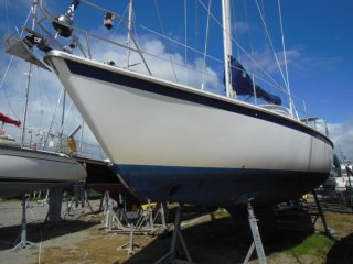 Westerly Ocean Lord 41  vendre - Photo 2