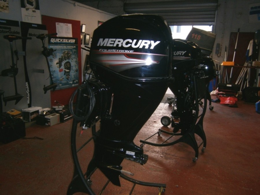 Mercury  50 ELPT à vendre par 