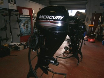 Mercury  50 ELPT � vendre - Photo 1