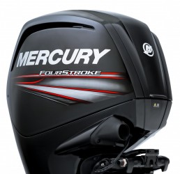 Mercury ELPT EFI  vendre - Photo 2