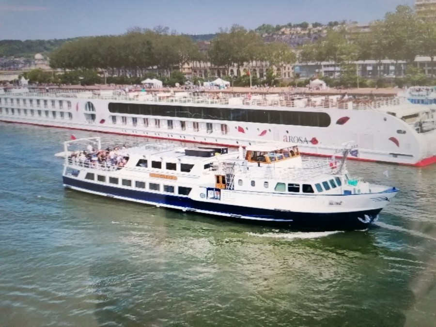 annonce bateau Bateau Restaurant Croisiere 150 Passagers