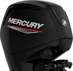  Mercury F 100 EFI CT neuf