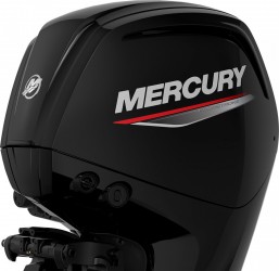 Mercury F 115 EFI CT  vendre - Photo 4