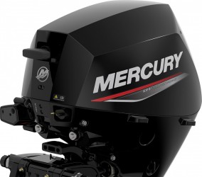 Mercury F 15 EFI  vendre - Photo 1