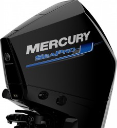 Mercury F 250 DTS SEAPRO  vendre - Photo 2
