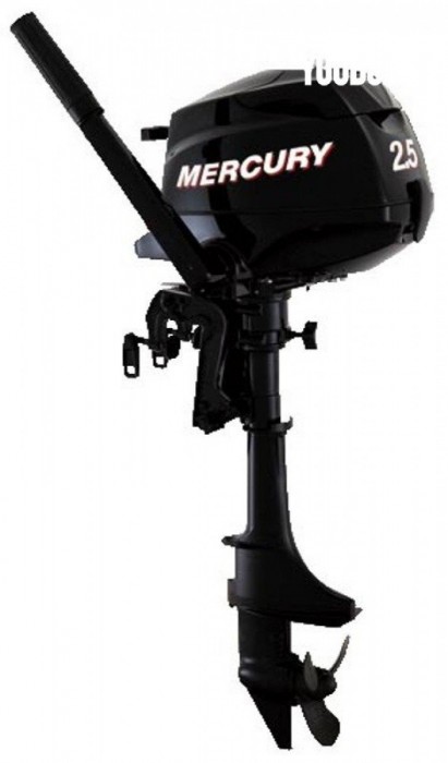 Mercury F 2.5 à vendre par 
