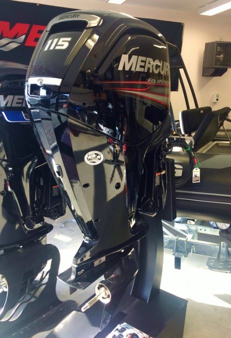Mercury 115 CV ELPT nuovo
