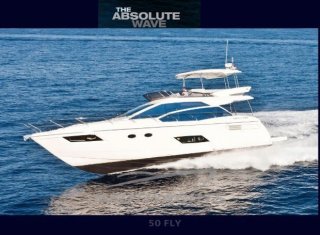 Absolute Absolute 50 Fly  vendre - Photo 2