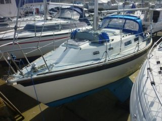 Westerly Griffon used for sale