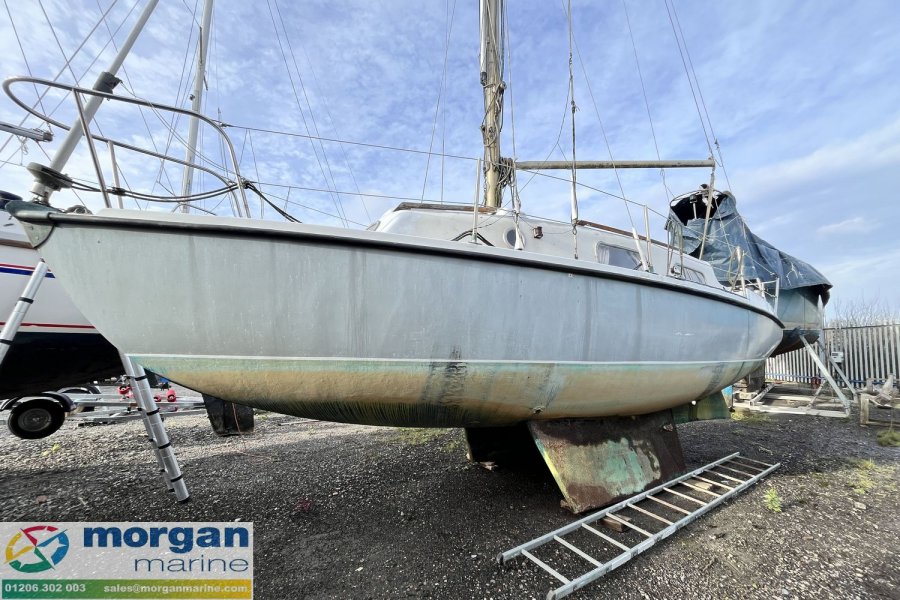 Kingfisher 26 for sale by 