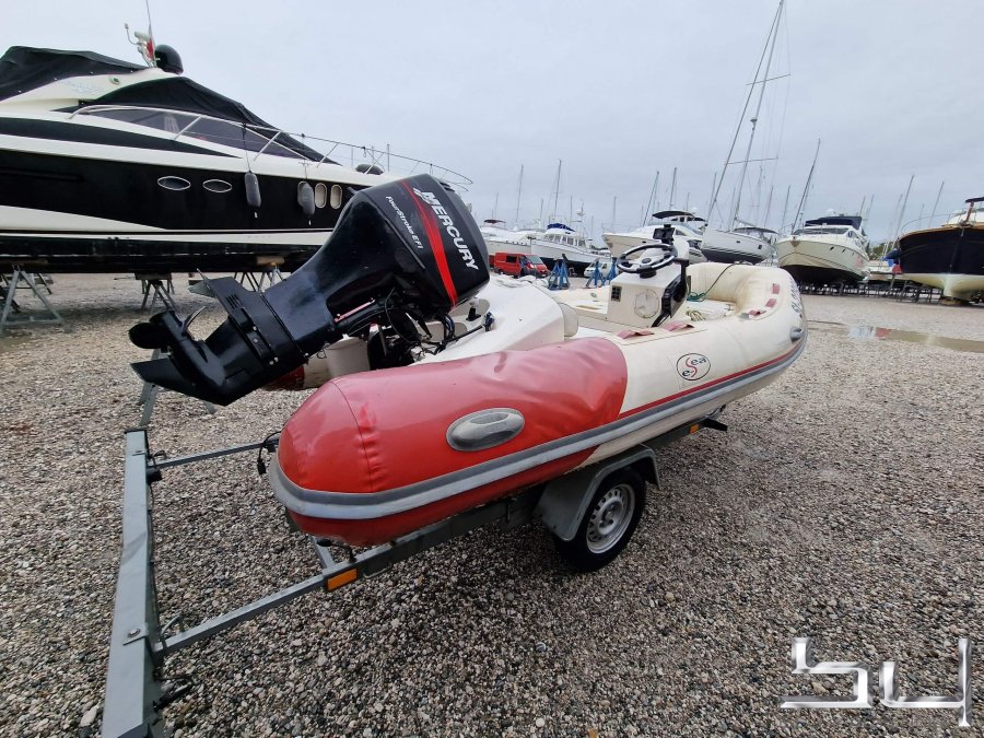 Sealife Boats E Sea 430 Pro Tender per la vendita da 