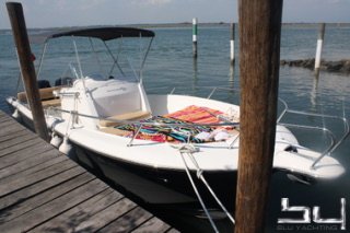 White Shark 246 used for sale