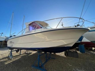 Ocqueteau 615 used for sale