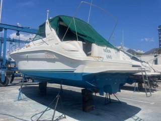 Sea Ray 370 used for sale