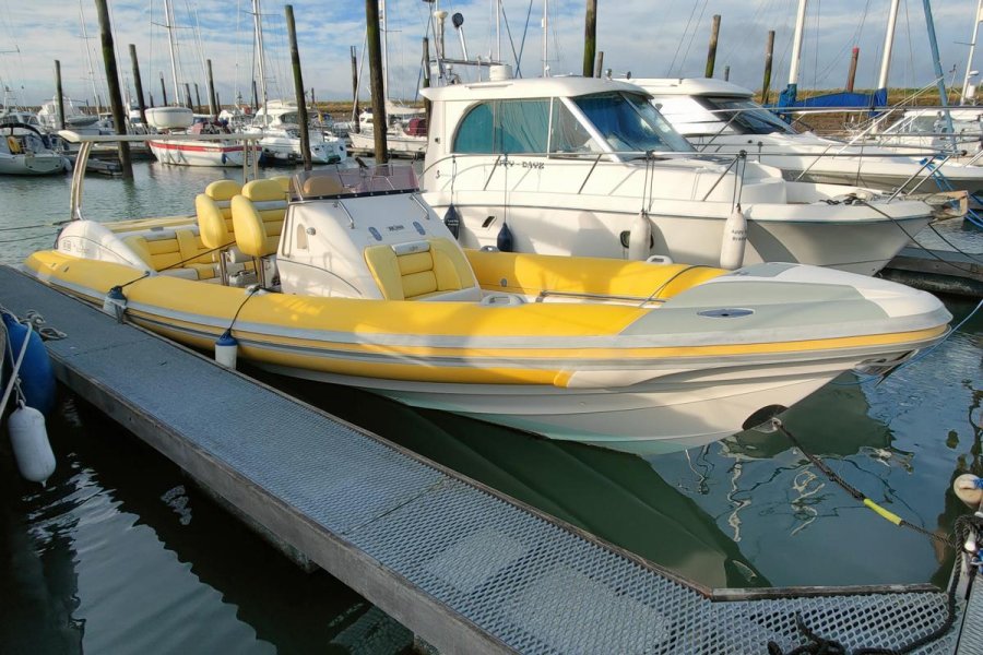Scorpion Sting RR880 Rib for sale by 