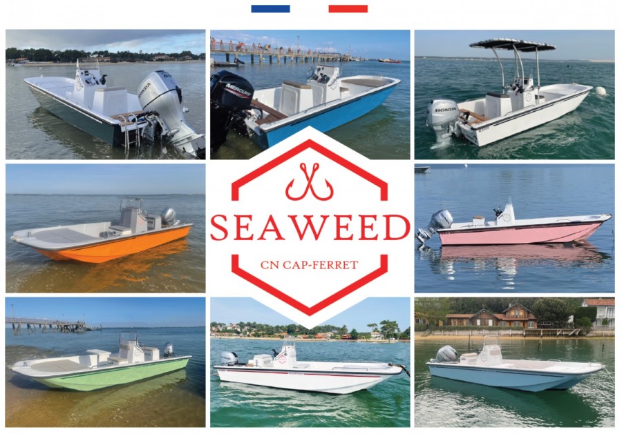 Seaweed 535 Console à vendre par 