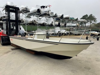  Boston Whaler 22 Outrage occasion