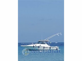 Pursuit 3100 Express Fisher