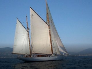 Alexander Stephen  Sons Classic Yacht - Image 7