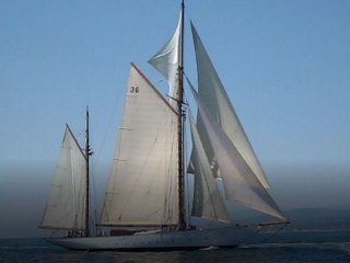 Alexander Stephen  Sons Classic Yacht - Image 8