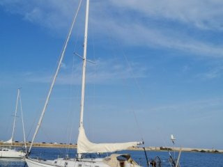 Barca a Vela Alpa 11.50 usato - D'ADDARIO YACHTS