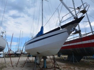 Segelboot Amateur Reve Des Tropiques gebraucht - PORT NAVY SERVICE