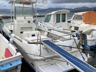 Motorboot Balt Arvor Cap Frehel gebraucht - SAINT TROPEZ YACHTS BROKER