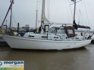 Sailing Boat Barbary Ketch  used - MORGAN MARINE