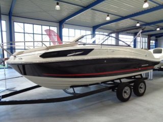 Motorboot Bayliner VR5 Cuddy neu - EUROPE MARINE GMBH