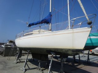 Barca a Vela Beneteau First 24 QR usato - J-Y. L.P.