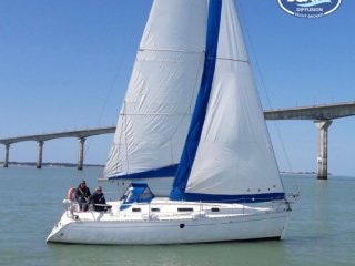 Voilier Beneteau First 310 occasion - BOATS DIFFUSION