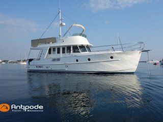 Barco a Motor Beneteau Swift Trawler 42 ocasión - ANTIPODE