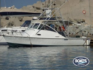 Barco a Motor Bertram Bahia 31 Mar Sportfish ocasión - BOATS DIFFUSION