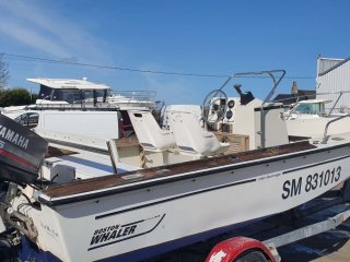 Boston Whaler 190 Outrage occasion