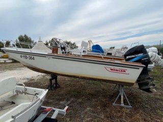 Boston Whaler 22 Outrage occasion