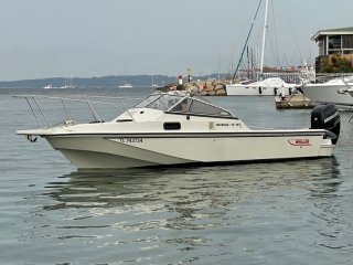 Barca a Motore Boston Whaler 22 Revenge usato - MAS MARINE