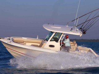 Motorboot Boston Whaler 250 Outrage neu - BARCARES YACHTING