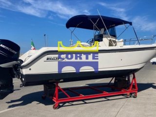 Motorboat Boston Whaler 26 Outrage used - CORTE SRL