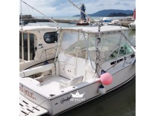 Motorboot Carolina Classic 28 gebraucht - INFINITY XWE SRL