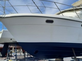 Barca a Motore Carver 370 usato - LES BATEAUX DE CLEMENCE