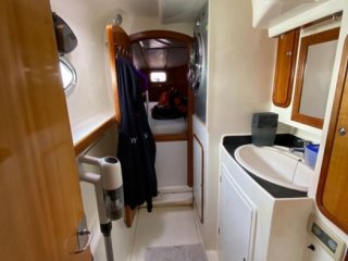 Charter Cats Prowler 48 - Image 11