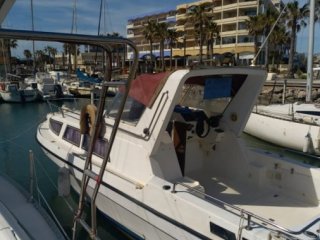 Barca a Motore Cigala Bertineti Narvalo 25 usato - BOATS DIFFUSION