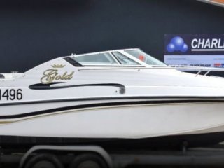 Barca a Motore Crownline 210 CCR usato - CHARLET NAUTIC