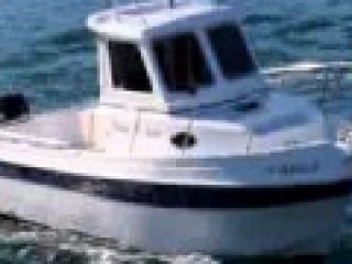 Motorboat Fibramar 600 used - Armando Ramos