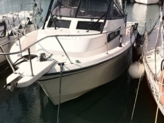 Barco a Motor Grady White Marlin 300 ocasión - NAUTICA BLUE SEA