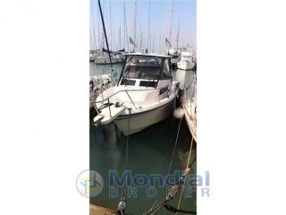 Motorboat Grady White Marlin 300 used - YACHT DIFFUSION VIAREGGIO