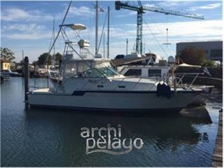 Motorboot Hatteras 32 gebraucht - ARCHIPELAGO - GIORGIO DALLA PIETÀ