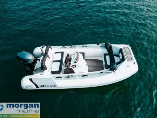 Schlauchboot Highfield Sport 360 neu - MORGAN MARINE