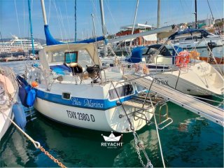 Barca a Vela Jensen Compass 31 usato - INFINITY XWE SRL